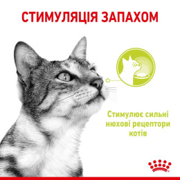 Вологий корм для котів Royal Canin Sensory Smell Jelly pouch 85 г, 3+1 шт - домашня птиця