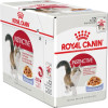 Корм для котів Royal Canin Exigent Savour 2 кг + pouch 12 шт х 85 г + інтерактивна годівниця
