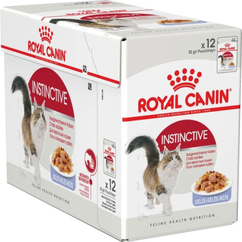 Корм для котів Royal Canin Exigent Savour 2 кг + pouch 12 шт х 85 г + інтерактивна годівниця