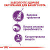Сухий корм для котів Royal Canin Sensible 33, 10+2 кг - домашня птиця