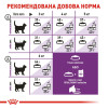 Сухий корм для котів Royal Canin Sensible 33, 10+2 кг - домашня птиця