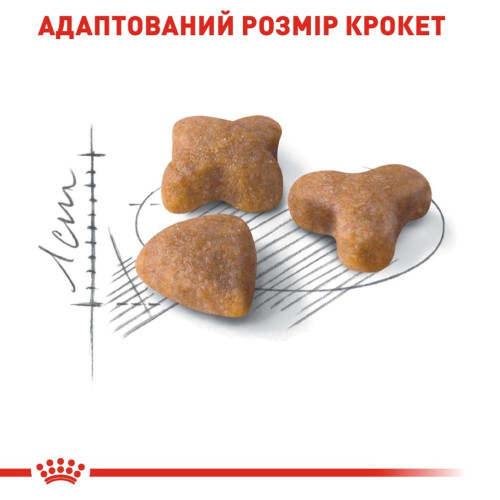 Сухий корм для котів Royal Canin Sensible 33, 10+2 кг - домашня птиця