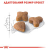 Сухий корм для котів Royal Canin Sensible 33, 10+2 кг - домашня птиця