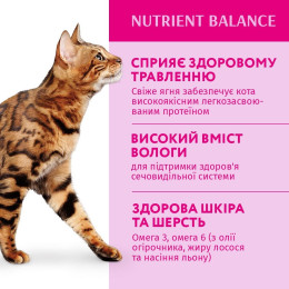 Набір 3+1 вологий корм для дорослих котів Optimeal, 340 г (ягня та овочі)