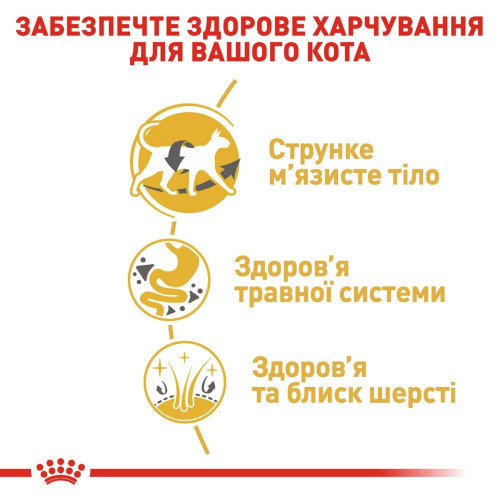 Сухий корм для котів Royal Canin Siamese Adult 400 г - домашня птиця