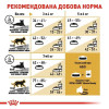 Сухий корм для дорослих котів породи британська короткошерста Royal Canin British Shorthair Adult 2 кг + контейнер у подарунок (домашня птиця)