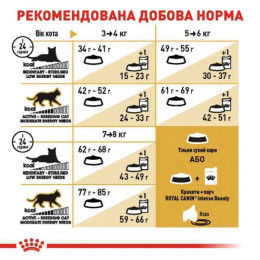 Сухий корм для дорослих котів породи британська короткошерста Royal Canin British Shorthair Adult 2 кг + контейнер у подарунок (домашня птиця)