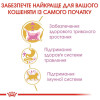 Сухий корм для кошенят породи мейн-кун Royal Canin Kitten Maine Coon 4 кг (домашня птиця)