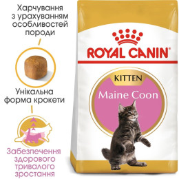 Сухий корм для кошенят породи мейн-кун Royal Canin Kitten Maine Coon 4 кг (домашня птиця)