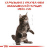 Сухий корм для кошенят породи мейн-кун Royal Canin Kitten Maine Coon 400 г (домашня птиця)