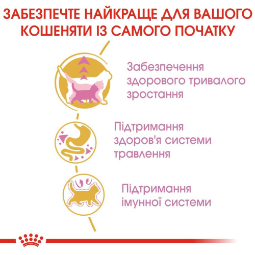Сухий корм для кошенят породи мейн-кун Royal Canin Kitten Maine Coon 2 кг + контейнер у подарунок (домашня птиця)