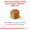 Сухий корм для кошенят породи мейн-кун Royal Canin Kitten Maine Coon 2 кг + контейнер у подарунок (домашня птиця)