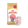 Набір корму для кошенят Royal Canin Kitten British Shorthair 2 кг + 4 pouch - домашня птиця