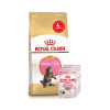 Набір корму для кошенят Royal Canin Kitten Maine Coon 2 кг + 4 pouch - домашня птиця