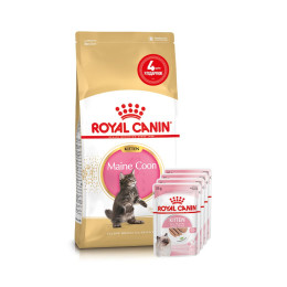 Набір корму для кошенят Royal Canin Kitten Maine Coon 2 кг + 4 pouch - домашня птиця