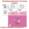 Корм для кошенят Royal Canin Kitten Sterilised 2 кг + pouch 12 шт х 85 г + інтерактивна годівниця