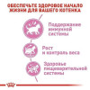 Корм для кошенят Royal Canin Kitten Sterilised 2 кг + pouch 12 шт х 85 г + інтерактивна годівниця