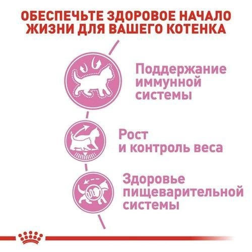 Корм для кошенят Royal Canin Kitten Sterilised 2 кг + pouch 12 шт х 85 г + інтерактивна годівниця