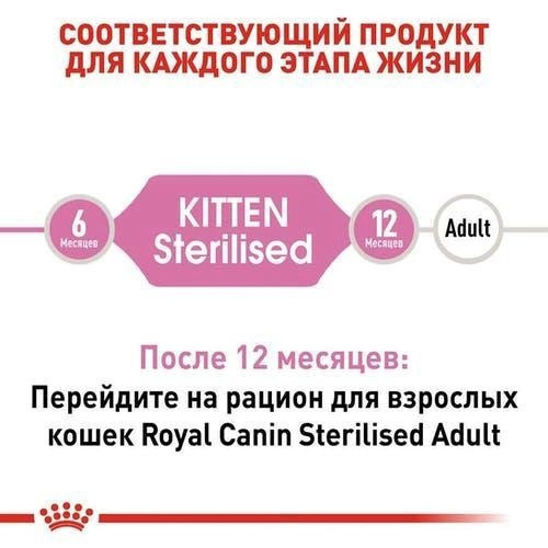 Корм для кошенят Royal Canin Kitten Sterilised 2 кг + pouch 12 шт х 85 г + інтерактивна годівниця