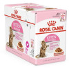Корм для кошенят Royal Canin Kitten Sterilised 2 кг + pouch 12 шт х 85 г + інтерактивна годівниця