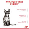 Корм для кошенят Royal Canin Kitten Sterilised 2 кг + pouch 12 шт х 85 г + інтерактивна годівниця