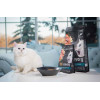 Сухий корм для кошенят Savory Kitten 2 кг - індичка та курка