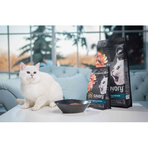Сухий корм для кошенят Savory Kitten 2 кг - індичка та курка