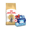 Сухий корм для котів Royal Canin British Shorthair 4 кг - домашня птиця + Catsan 5 л
