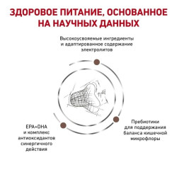 Сухий корм для котів, при захворюваннях шлунково-кишкового тракту Royal Canin Fibre Response 4 кг (домашня птиця)