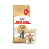Набір корму для котів Royal Canin British Shorthair Adult 2 кг + 4 pouch - домашня птиця