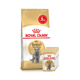 Набір корму для котів Royal Canin British Shorthair Adult 2 кг + 4 pouch - домашня птиця