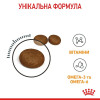 Набір корму для котів Royal Canin hair and skin care 2 кг + 4 pouch - домашня птиця