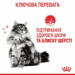 Набір корму для котів Royal Canin hair and skin care 2 кг + 4 pouch - домашня птиця