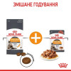 Набір корму для котів Royal Canin hair and skin care 2 кг + 4 pouch - домашня птиця