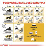 Набір корму для котів Royal Canin Maine Coon Adult 2 кг + 4 pouch - домашня птиця