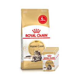 Набір корму для котів Royal Canin Maine Coon Adult 2 кг + 4 pouch - домашня птиця