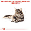 Набір корму для котів Royal Canin Maine Coon Adult 2 кг + 4 pouch - домашня птиця