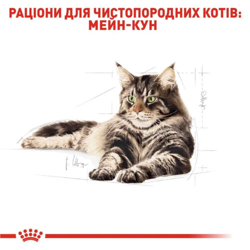Набір корму для котів Royal Canin Maine Coon Adult 2 кг + 4 pouch - домашня птиця