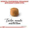 Набір корму для котів Royal Canin Maine Coon Adult 2 кг + 4 pouch - домашня птиця