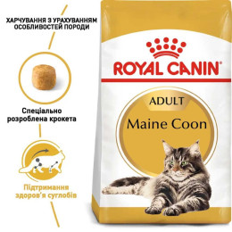 Набір корму для котів Royal Canin Maine Coon Adult 2 кг + 4 pouch - домашня птиця