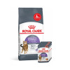 Набір корму для котів Royal Canin Sterilised Appetite Control, 2 кг + 4 pouch - домашня птиця