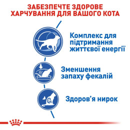 Сухий корм для котів Royal Canin Indoor 7+, 3,5 кг - домашня птиця + Catsan 5 л