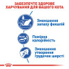 Сухий корм для котів Royal Canin indoor 8+2 кг - домашня птиця