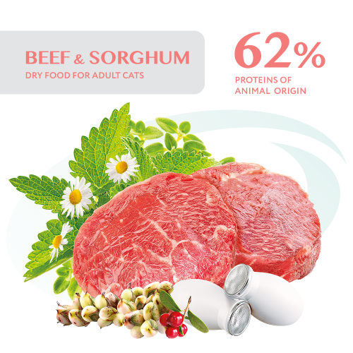 Сухий корм для стерилізованих котів Optimeal Adult Cat Sterilised Beef Sorghum 1,5 кг (яловичина та сорго)