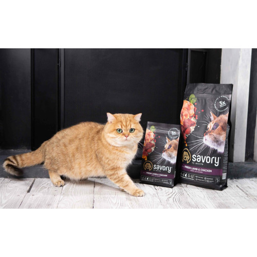 Сухий корм для котів Savory Adult Cat Steril Fresh 2 кг - ягня та курка