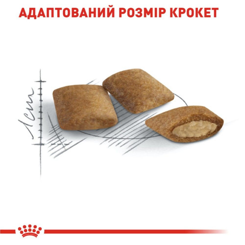 Сухий корм для літніх котів Royal Canin Ageing 12+, 2 кг (домашня птиця)