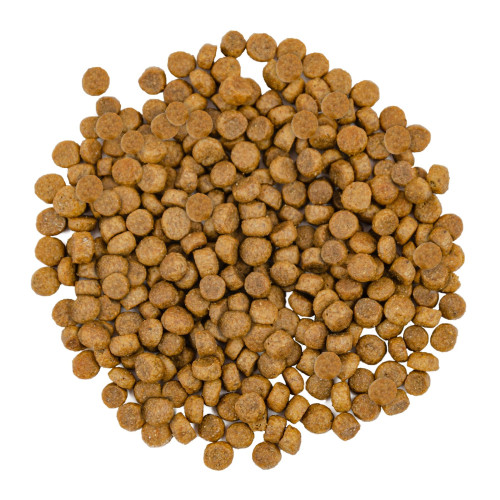 Сухий корм для довгошерстих котів Savory 400 г (лосось)