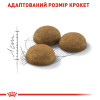 Сухий корм для довгошерстих котів, які живуть в приміщенні Royal Canin Indoor Long Hair 2 кг (домашня птиця)