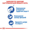 Сухий корм для довгошерстих котів, які живуть в приміщенні Royal Canin Indoor Long Hair 2 кг (домашня птиця)