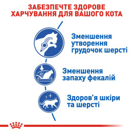 Сухий корм для довгошерстих котів, які живуть в приміщенні Royal Canin Indoor Long Hair 2 кг (домашня птиця)
